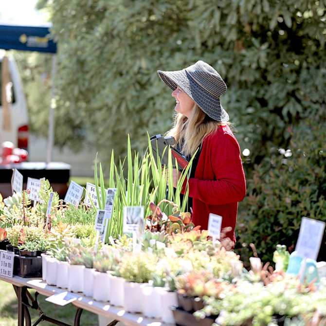 woman selling plants at market stall