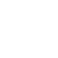 Launceston Airport Logo 2023