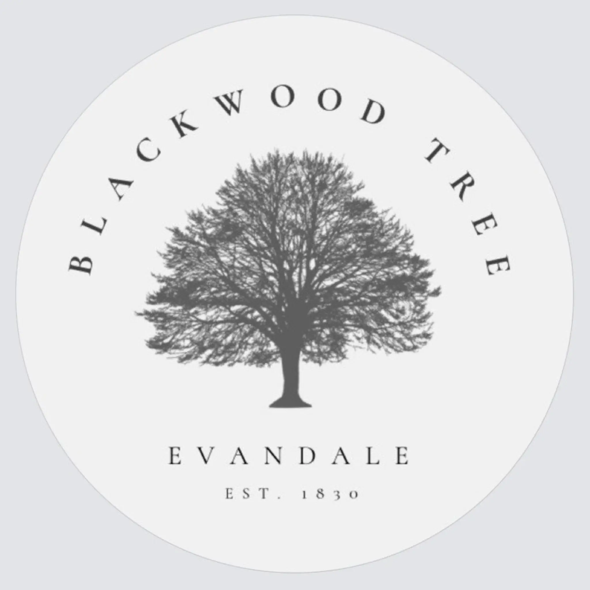 Blackwood Tree