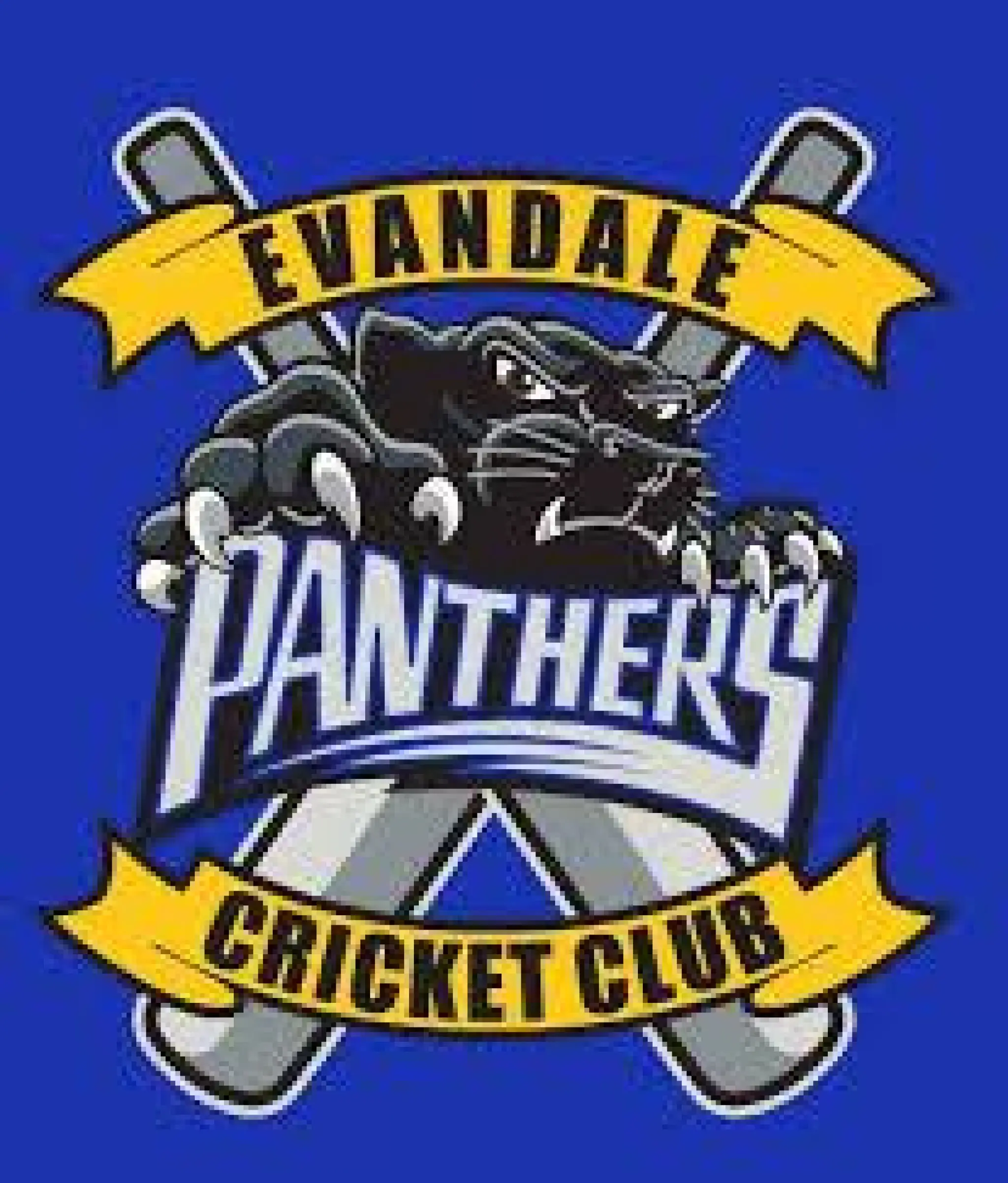 Evandale Panthers Cricket Club