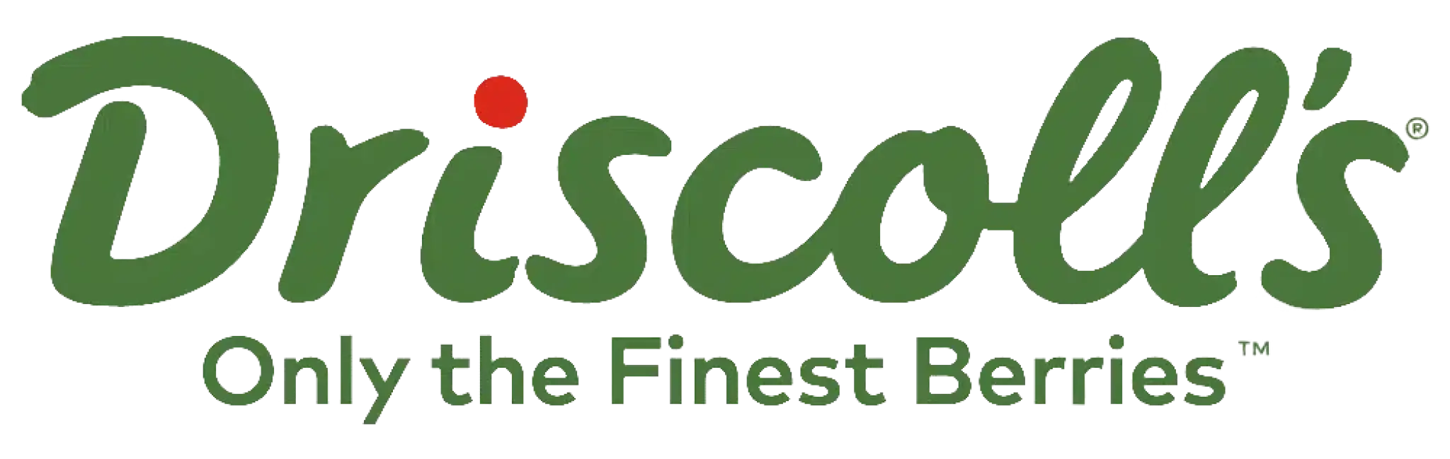 Driscolls logo